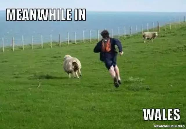 伦敦大混乱！*威示**者“血染”财政部，躺尸唐宁街，这是要上天？