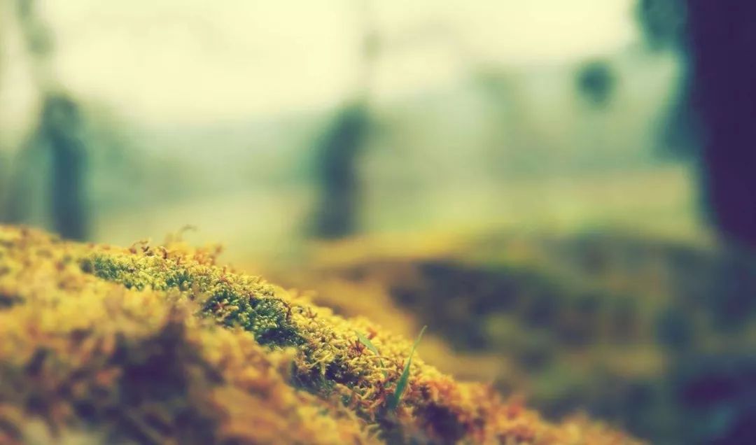 早恋怎么办？这位名师的化解高招，值得借鉴！