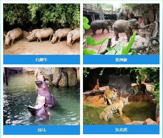 长鹿旅游休博园怎么玩？一条短视频告诉你，不然白来了