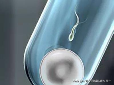 关于试管婴儿你不知道的6个真相,试管婴儿胚胎移植后需要注意事项