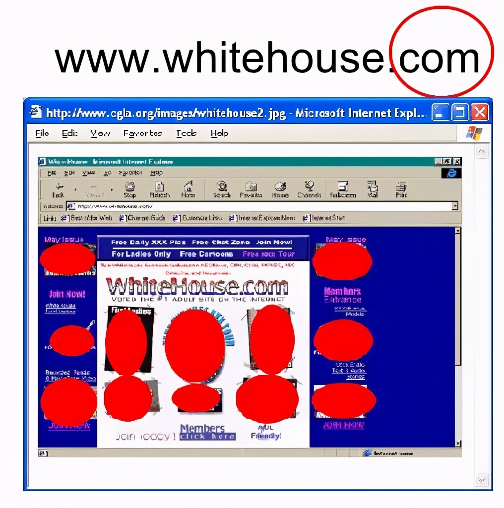 20年前，我是怎么被一家“白宫官网”欺骗的
