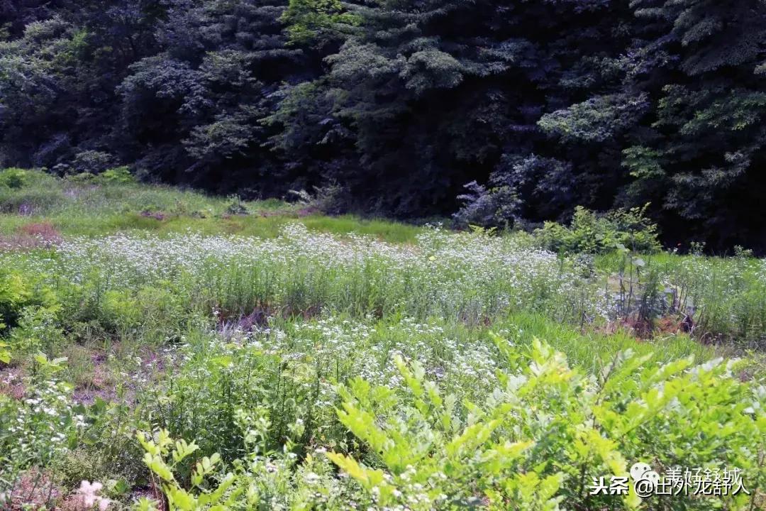 舒城县五显镇石关风景区,舒城石关风景游玩攻略