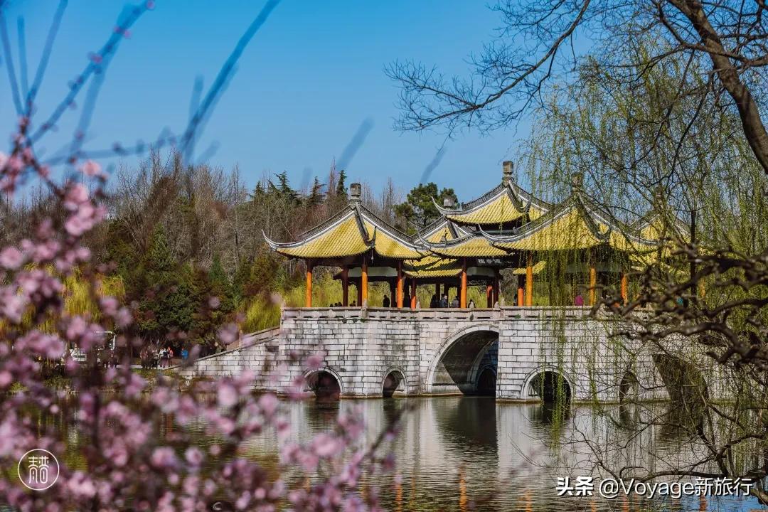 旅行民宿春天赏花,附近哪里有赏花民宿