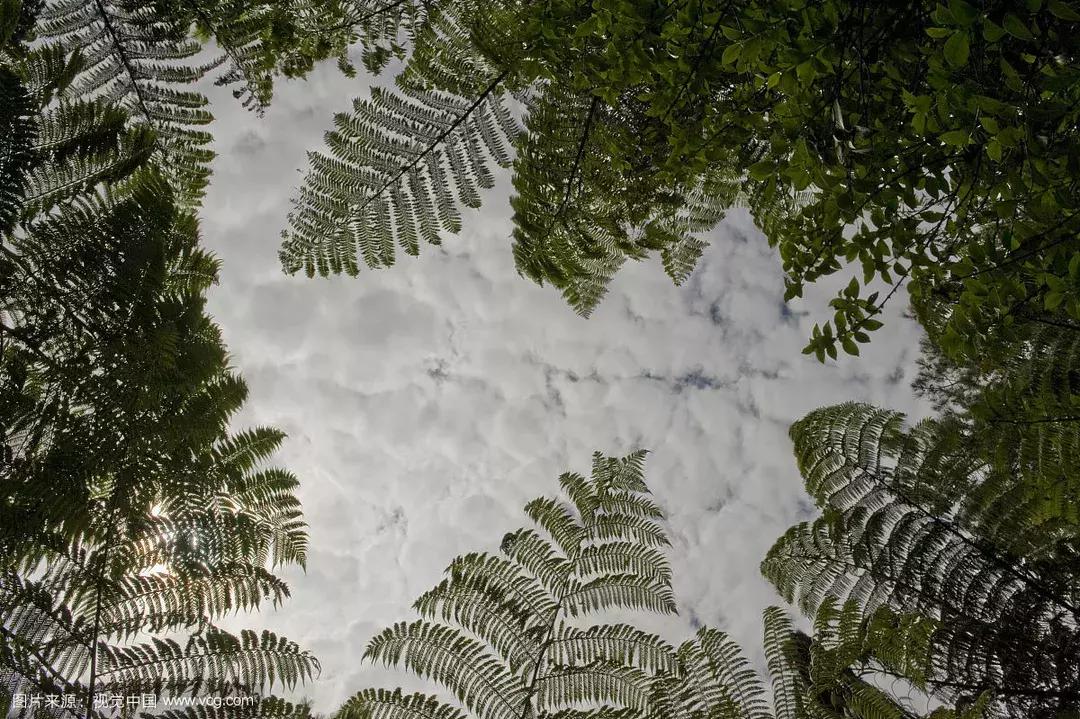 如何克服交易心理弱点,利用心理学增加客流