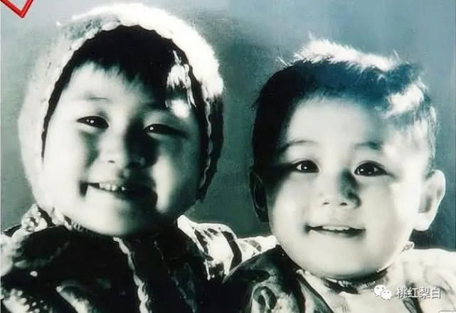 曾每天工作10小时、3个月连轴转的刘烨，不吃药就被安娜治愈了