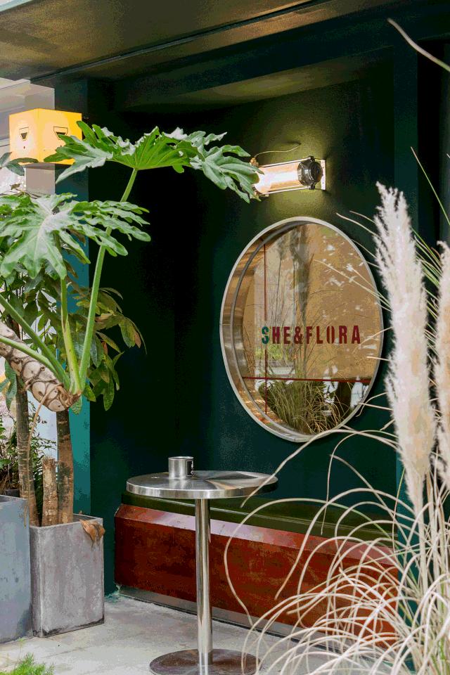 深圳旅游攻略地铁沿线景点,深圳市地铁2号线打卡的24个景点