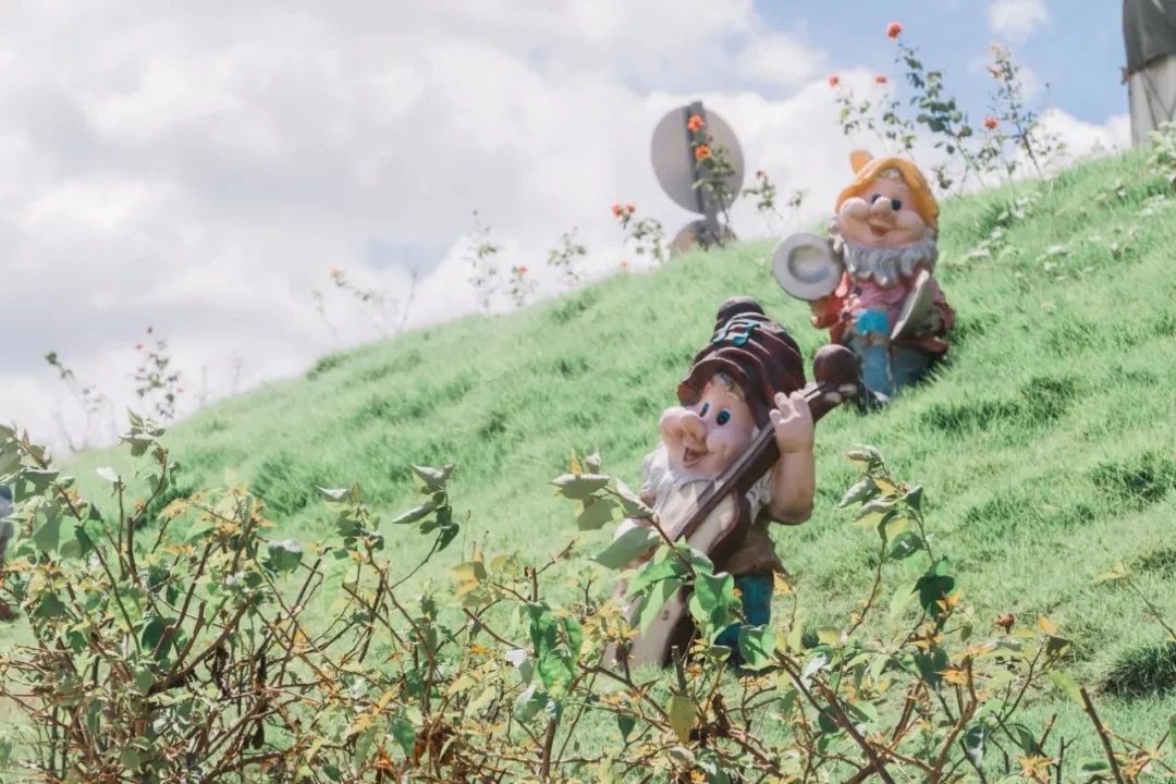 深圳10大旅游好去处,深圳盐田区周末休闲浪漫好去处