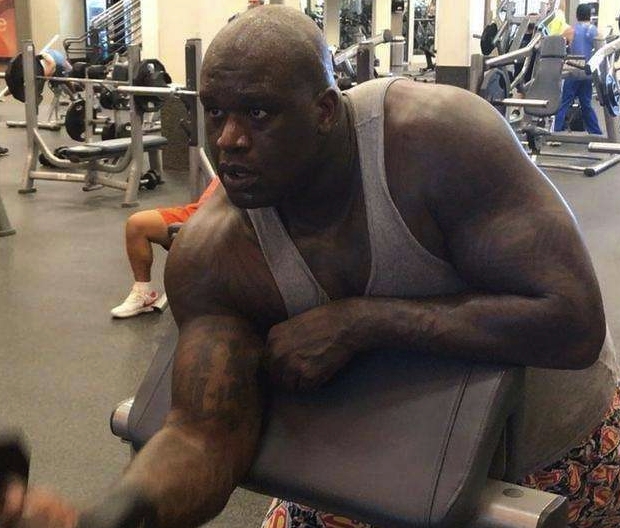 世界最强的拳王泰森,世界上最完美的肌肉李小龙