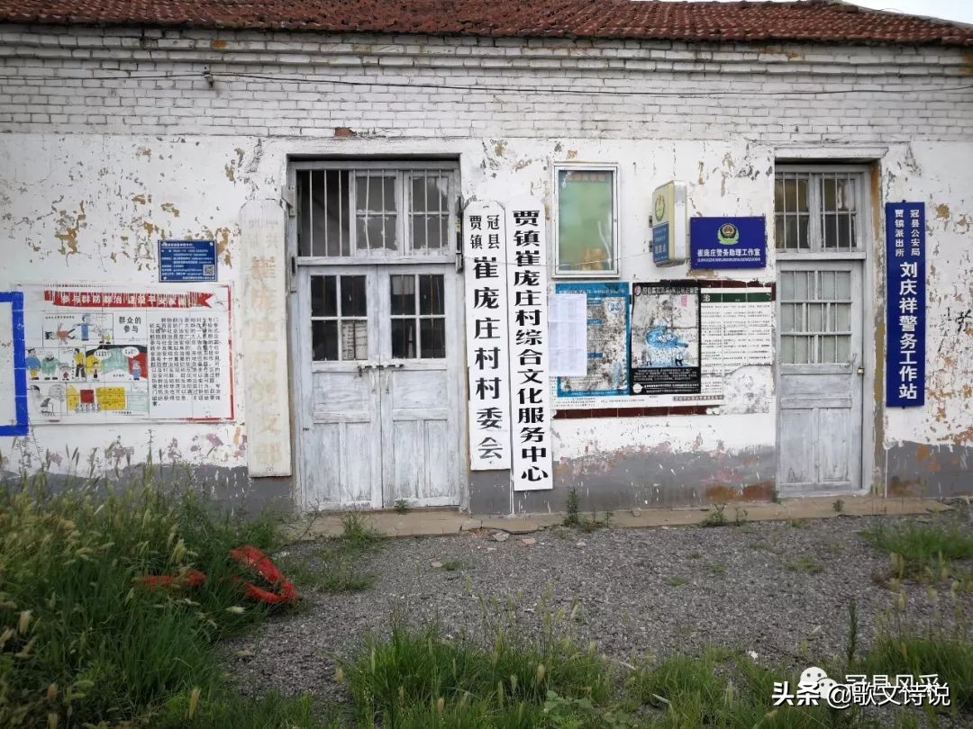 山东冠县精品苗木基地,冠县种植基地