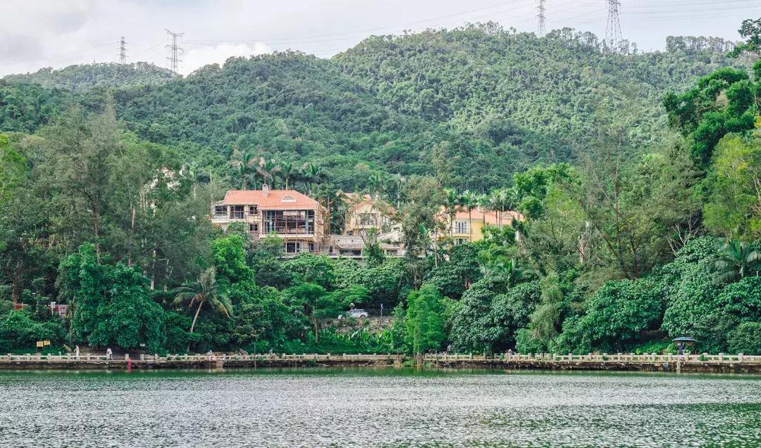 深圳银湖山游玩,深圳银湖有什么好玩的地方