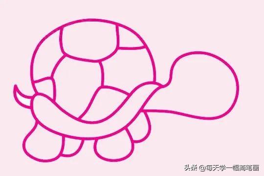 小乌龟简笔画的各种画法,如何画乌龟的简笔画教程