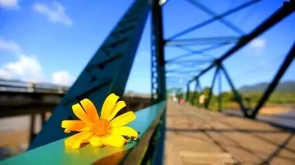 去泰国旅游免签证费时间,贵州去泰国旅游签证