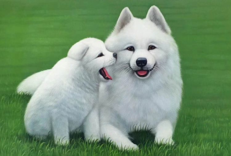 中国小幅油画作品大展作品集,三峡丹青油画作品