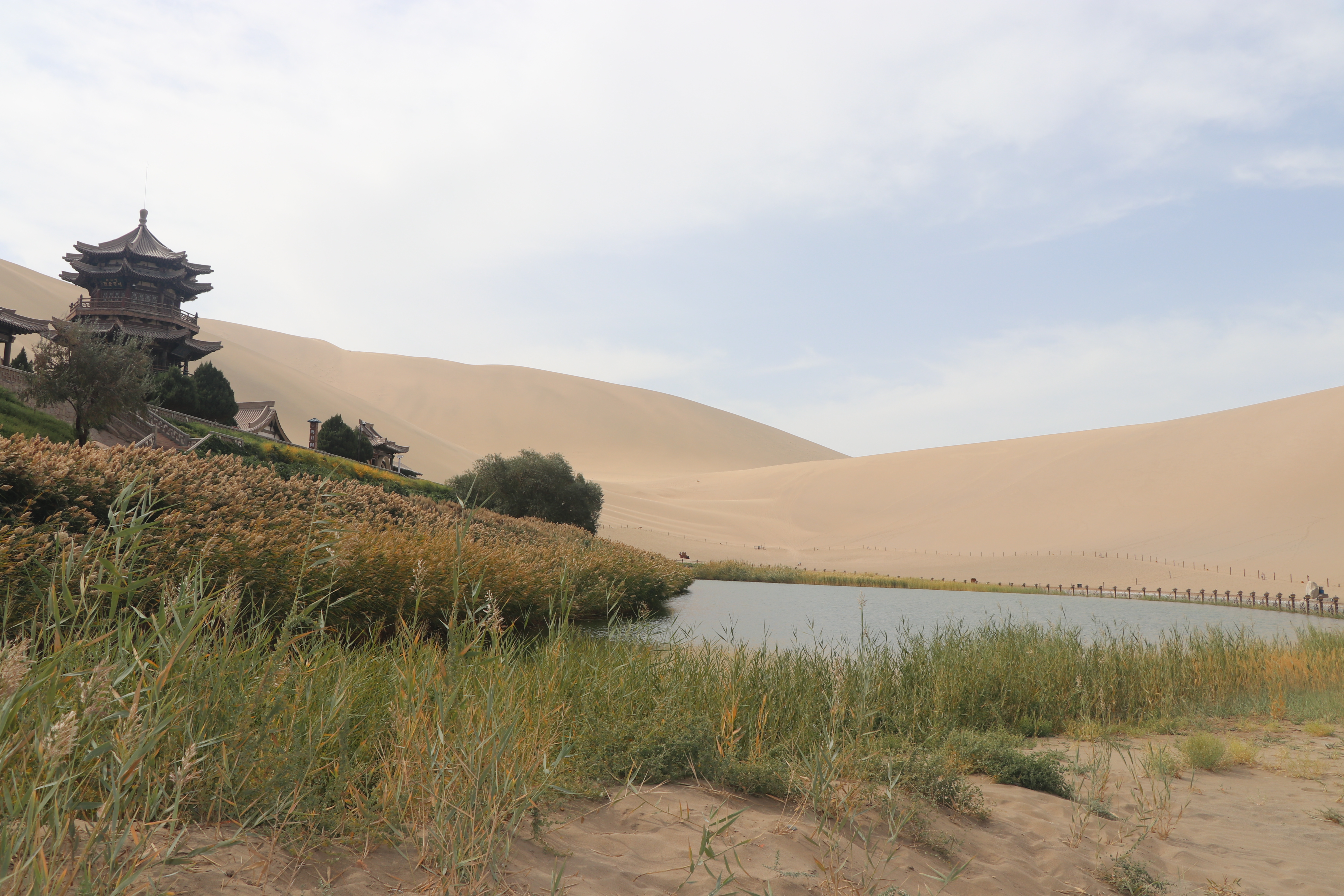 敦煌旅行攻略,敦煌莫高窟之行