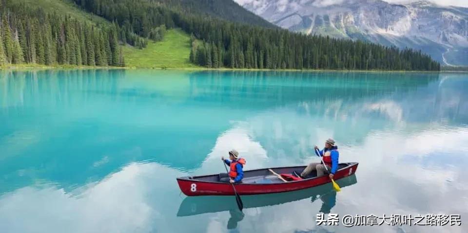 加拿大重开父母团聚移民！名额数创记录！申请要注意哪些细节？