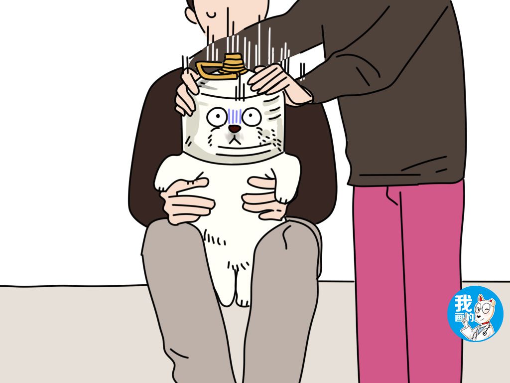 狗狗不愿意剪毛怎么制服,狗狗超级拒绝剪指甲