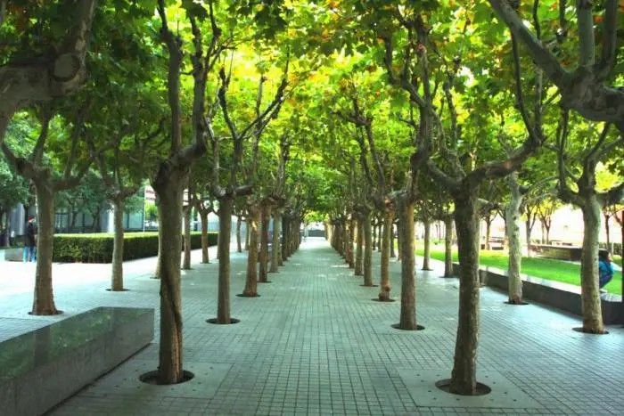 绿满京华驰声走誉——融科资讯中心(二)