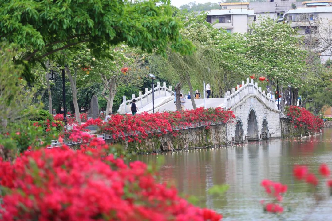 惠州西湖值得一去吗,惠州西湖攻略详细