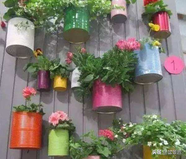 废物改造花盆绿植,旧物改造吊兰花盆