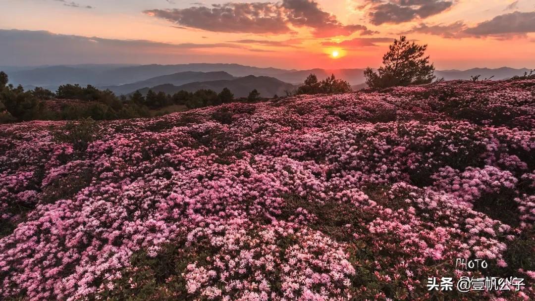 被大理的美景所折服,被丽江的风景美到了