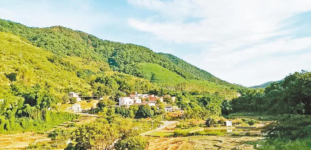 乡镇决战脱贫攻坚新闻报道,脱贫攻坚摘下贫困帽