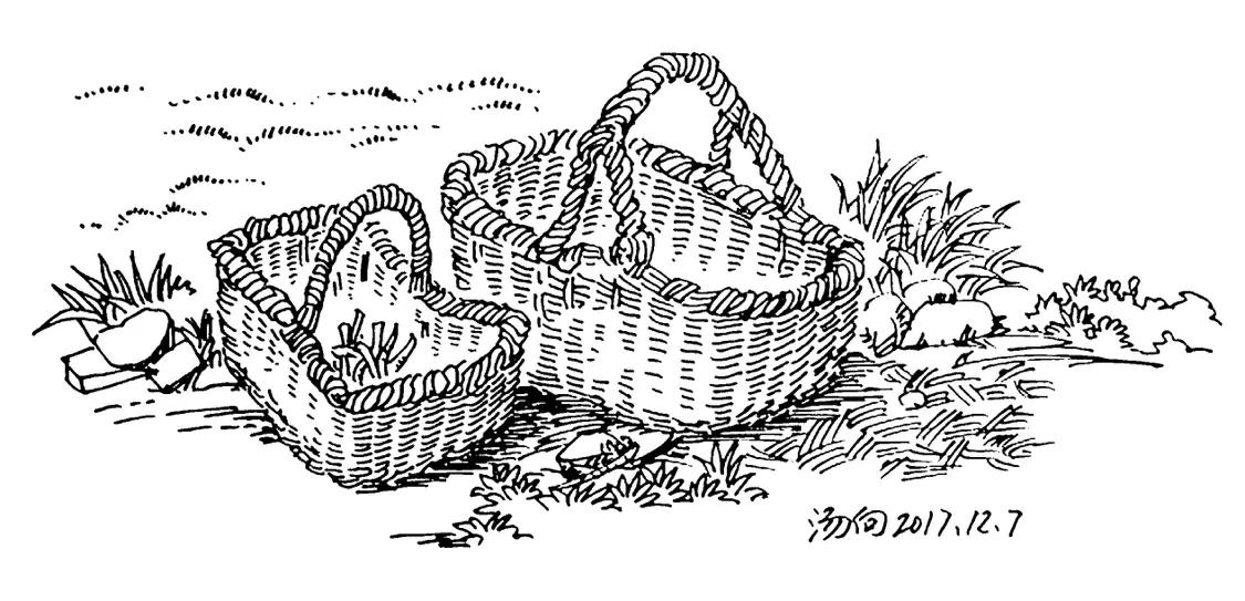 世界顶级人物肖像100张钢笔画临摹,40张顶级钢笔画