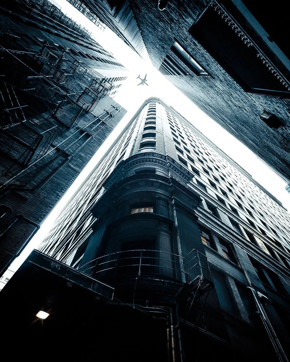 郑州疫情死亡人,疫情后倒闭的建筑企业