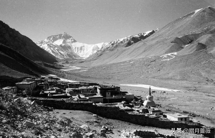 攀登者原型人物分析,攀登者黑牡丹片段