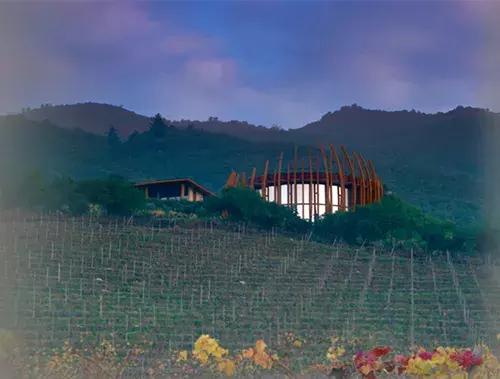 智利名庄酿乐 (智利名庄有哪些)