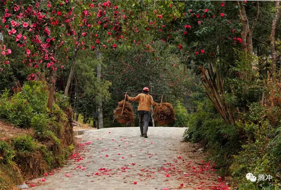 云南腾冲景区图片,云南腾冲山清水秀好风光