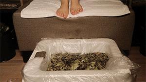 艾草驱蚊驱虫,艾草驱虫祛湿