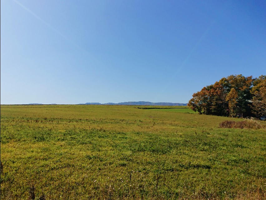 日本从南到北旅游路线,从南游到北