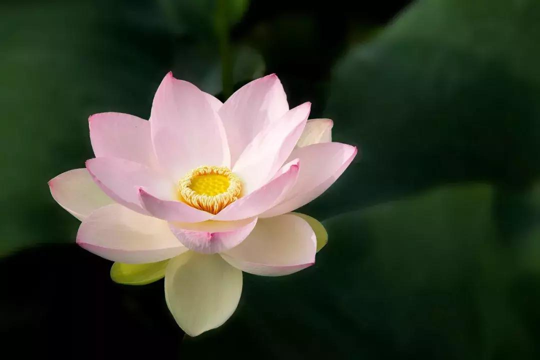 二十七首诗词二十七种人生境界,古诗词中的三种人生境界