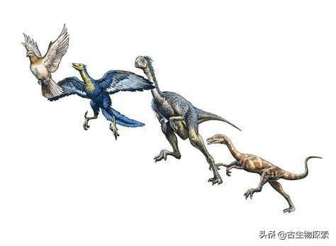 北美洲的恐龙有哪一些,阿根廷发现最古老巨型恐龙