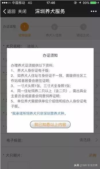 深圳养狗证多少钱,深圳养狗证网上可以查吗