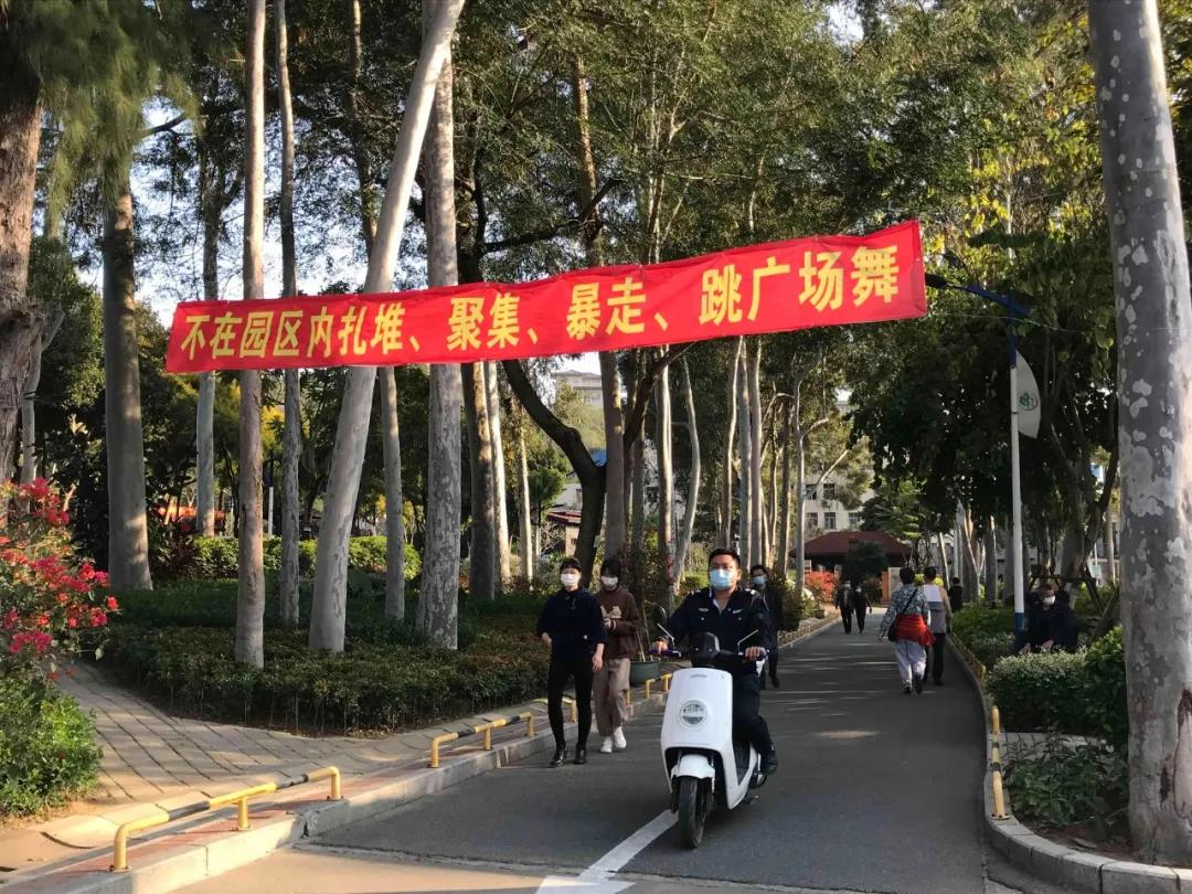 福建春天花海旅游攻略,福建春季游玩好去处推荐