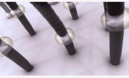 毛囊洗澡真的能洗干净吗,你知道毛囊是怎么洗澡的吗