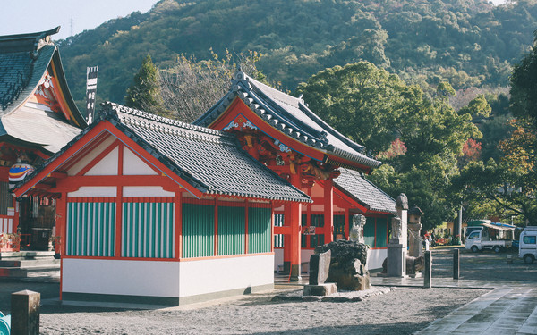 皇家加勒比邮轮2024年中国计划,今年的出游计划还没定