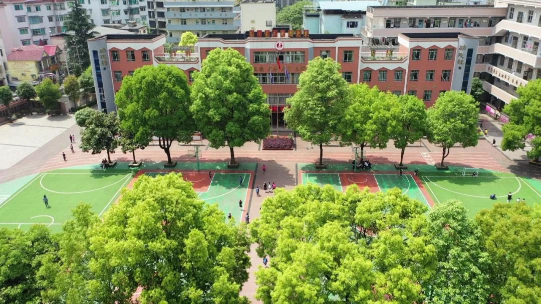 桐梓县2023年事业单位招聘,桐梓县事业单位招聘信息