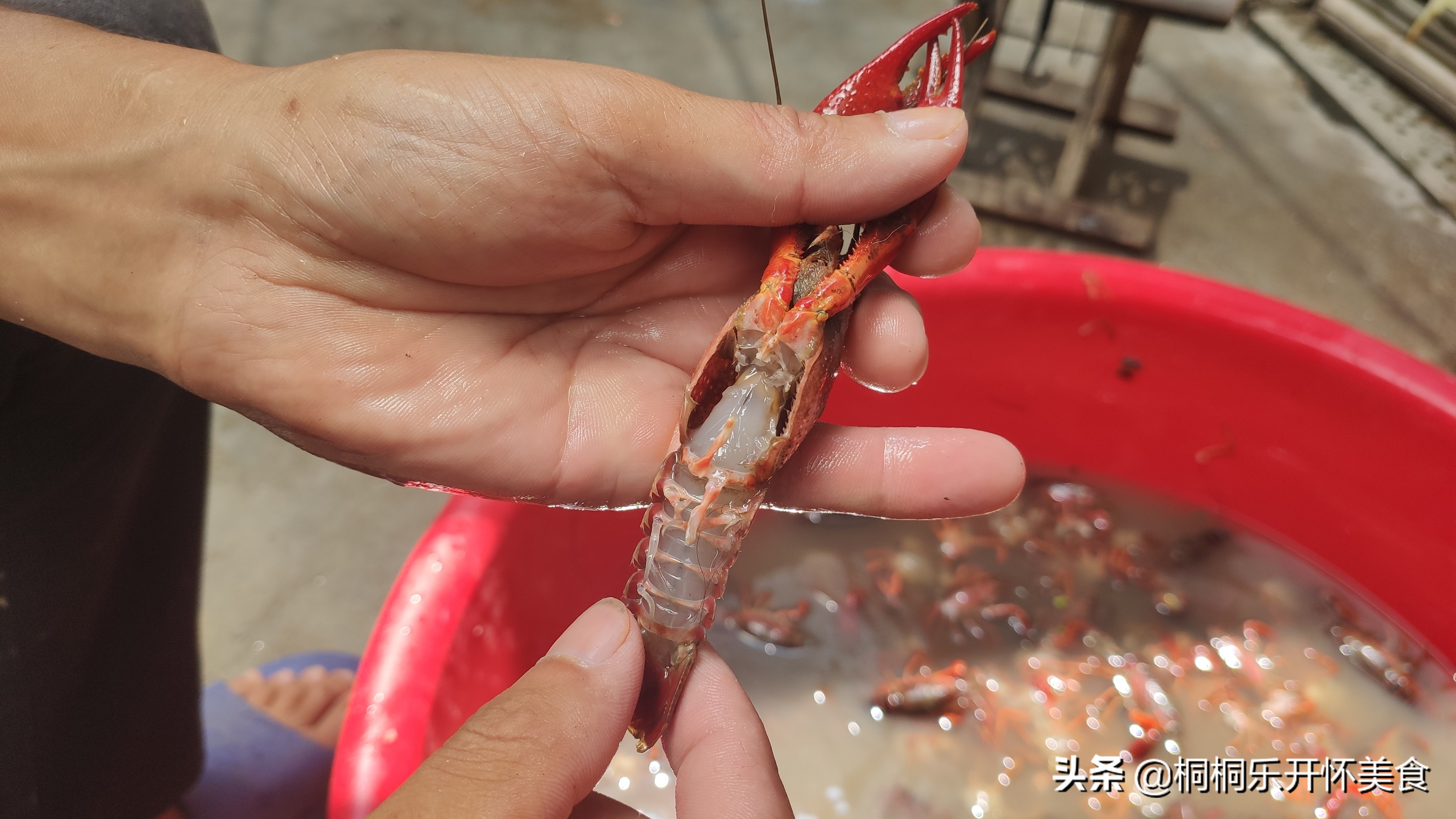 怎么样洗龙虾才洗得干净,怎样洗龙虾比较洗得干净