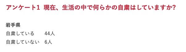 日本的岩手县,日本最大的县岩手县