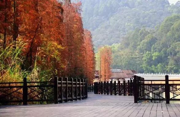 广州比较适合年轻人去的地方,广州最适合年轻人去的地方