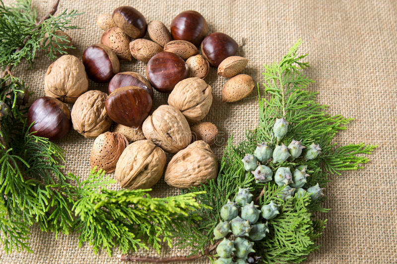 兄弟板栗网：互联网开启板栗新时代