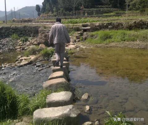 农村人的日常生活钓鱼,小的时候在农村生活钓鱼