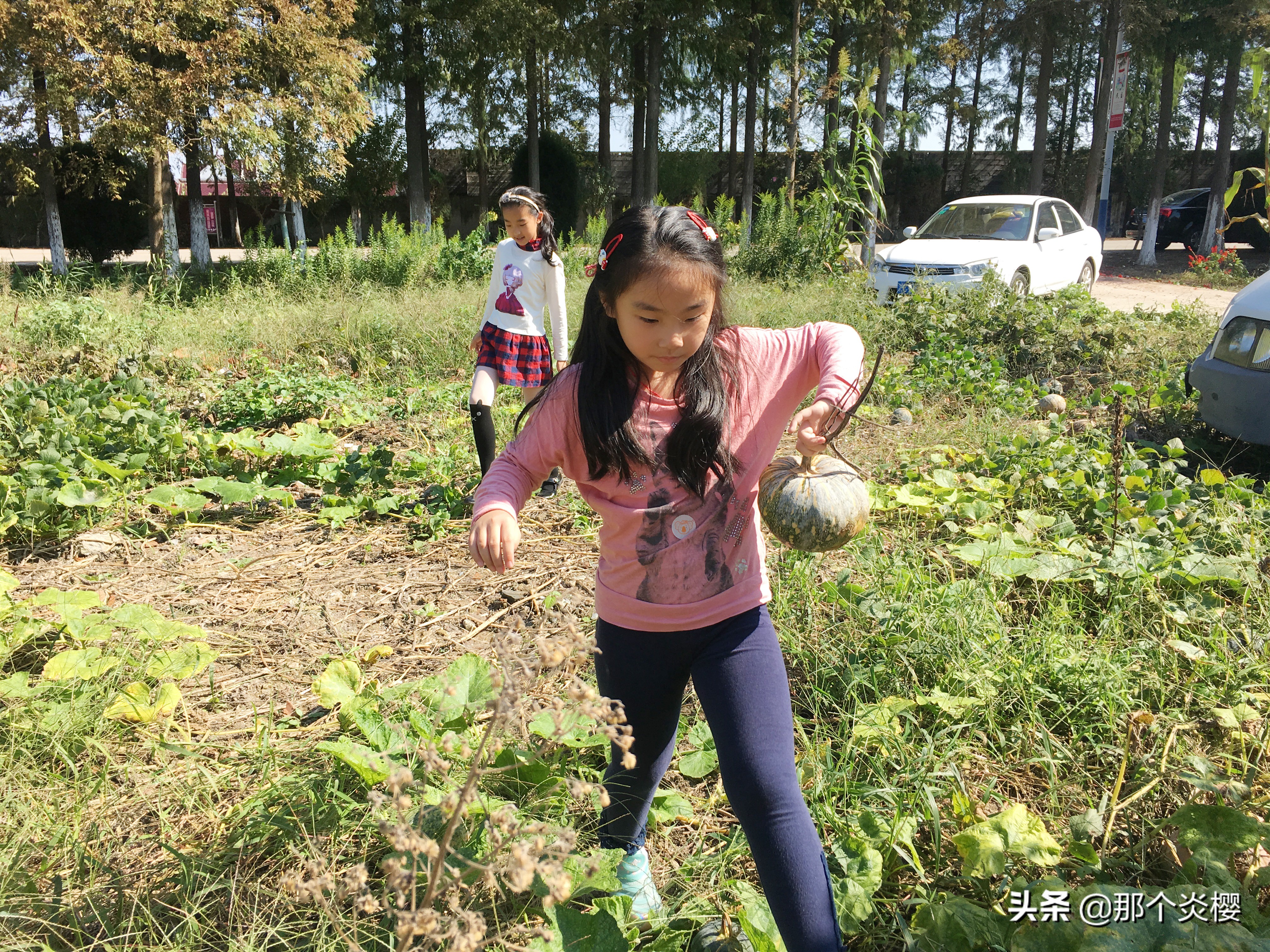 上海崇明农家乐三天二夜推荐,平凡生活琐碎日常油盐酱醋茶