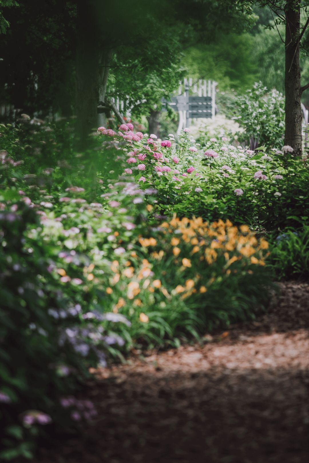 辰山植物园迎春花展,辰山植物园荷花展时间