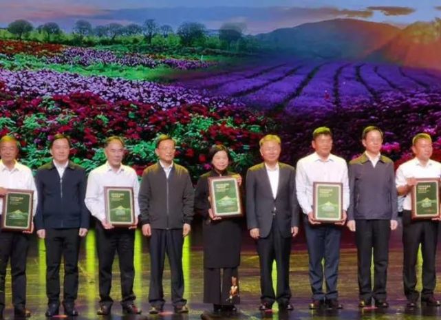 高黎贡山普洱茶生茶2014年,高黎贡山普洱茶品鉴