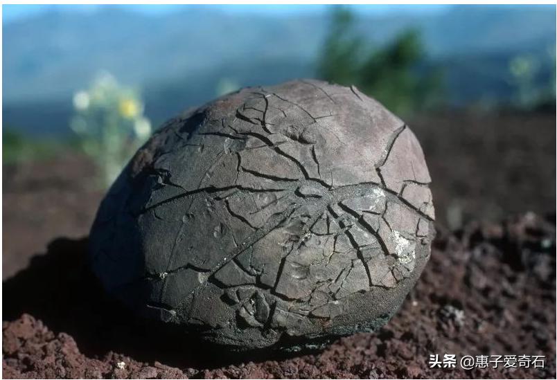 黑龙江奇石哪里多,最贵的玉石奇石