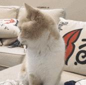 “开电脑”真不能说“openthecomputer”！！别再搞错啦