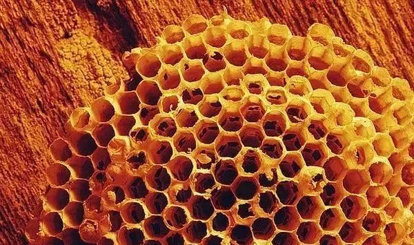 买家具到处是坑,买家具的人一般还会买什么